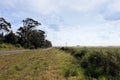 Wide horizons of the Uruguayan pampa