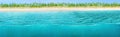 Wide horizontal design of tropical background