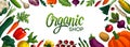 Wide horizontal organic shop background. Copy space. Variety of decorative vegetables with grain texture on white