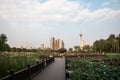 Wide horizontal shot of a bright afternoon in Tianjin Water Park, China, with lots of skyscrapers