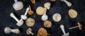Wide image of different kind of white and brown small mushrooms, fresh fungi from the garden. Spread out on dark background. Top v Royalty Free Stock Photo