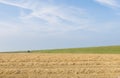 Wide Landscape with House Grainfield Royalty Free Stock Photo