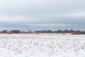 A wide landscape shot during a snowy winter or an early spring with leafless trees far away in the distance and a residential