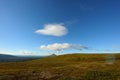 Wide landscape in sweden