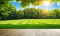 Wide lawn with meticulous green trims Royalty Free Stock Photo