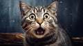 Intensely Surprised Tabby Cat With Shiny Eyes - Darkly Comedic Art