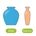 Wide and narrow vase. the concept of teaching children wide and narrow opposite adjectives Royalty Free Stock Photo