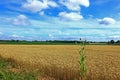 The wide open countryside around Pluckley in Kent Royalty Free Stock Photo