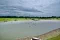 Wide open countryside of the nature reserve Royalty Free Stock Photo