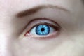 Wide open eyes, bright blue iris, look ahead. Royalty Free Stock Photo