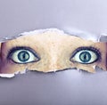 Wide open eyes in a wall Royalty Free Stock Photo