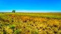 The wide open farmland along the R39 in the Vaal River region of southern Mpumalanga