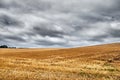 Wide Open Harvested Wheat Field Underneath A Grey, Overcast Sky