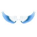 Wide open realistic angel wings