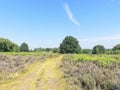 The wide open space of Budby Heath Royalty Free Stock Photo