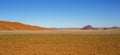 Wide open spaces Royalty Free Stock Photo