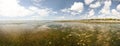 Wide panorama of empty shore, low water on sand with sea kelp an Royalty Free Stock Photo