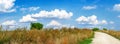 Wide panorama of a field with a tree and a road under the sky with clouds Royalty Free Stock Photo