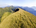 Wide panorama of green mountain hills. Carpathian mountains in summer Royalty Free Stock Photo