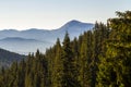 Wide panorama of green mountain hills in sunny clear weather. Carpathian mountains landscape in summer. View of rocky peaks covere Royalty Free Stock Photo