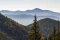 Wide panorama of green mountain hills in sunny clear weather. Carpathian mountains landscape in summer. View of rocky peaks covere Royalty Free Stock Photo