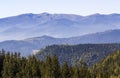 Wide panorama of green mountain hills in sunny clear weather. Carpathian mountains landscape in summer. View of rocky peaks covere