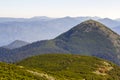 Wide panorama of green mountain hills in sunny clear weather. Carpathian mountains landscape in summer. View of rocky peaks covere Royalty Free Stock Photo