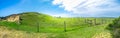 Green pastures with rolling hills and agricultural fence. Royalty Free Stock Photo