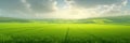 Wide panorama of lush, green fields under a sunlit sky with clouds. Realistic generative AI illustration Royalty Free Stock Photo