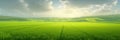 Wide panorama of lush, green fields under a sunlit sky with clouds. Realistic generative AI illustration