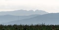 Wide panorama of mountain silhouettes and plowed farm field. Wallpaper Royalty Free Stock Photo