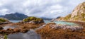 Panorama of the rocky Norwegian islands. The rocks are covered with orange moss, dried up marine plants. Rocks and mountains under