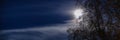 Wide panorama of shiny fool Moon behind cloud and birch tree on night starry sky