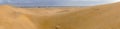 Wide Panorama of the stunning sand dunes during sunny and windy day in the Natural Reserve of Dunes of Maspaloma in Gran Canaria