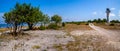 Panorama view on a small white lighthouse on the island of Saaremaa. Dirt road along the coast near the seashore on which trees Royalty Free Stock Photo