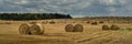 wide panoramic view of a hilly agricultural field with round straw bales on stubble after harvest in August under a cloudy sky Royalty Free Stock Photo