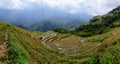 Wide panoramic view of rice terraces in the mountains Royalty Free Stock Photo