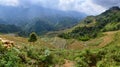 Wide panoramic view of rice terraces in the mountains near Sa Pa, Vietnam Royalty Free Stock Photo