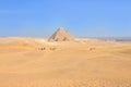Panoramic view of the three great pyramids of Giza, Egypt Royalty Free Stock Photo