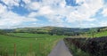 A wide panoramic view of yorkshire dales countryside with a narrow country lane with stone walls and fences around grass meadows Royalty Free Stock Photo
