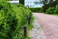 Wide path of crushed stone in green garden, park in spring with bushes fences. Royalty Free Stock Photo