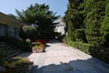 A wide path with curbs with lush greenery on the sides with flowers in the flower beds on one side and a clipped shrub