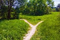 A wide path in the grass is divided into two narrow paths, diverging in different directions Royalty Free Stock Photo