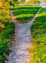 A wide path among the grass, strewn with fallen autumn leaves, is divided into two paths diverging in different directions. Autumn Royalty Free Stock Photo