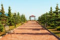 Wide path in nice light park under blue sky Royalty Free Stock Photo