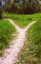 The wide pathway in the grass splits into two narrow paths