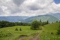 Wide peaceful summer landscape. Empty field road stretching to horizon through green grassy meadow and trees lit by sun towards di Royalty Free Stock Photo