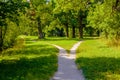 The wide pedestrian track in the park is divided into two, dispersing in different directions