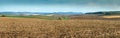 wide plowed fields spread out among the hills, forests and mountains on the horizon Royalty Free Stock Photo