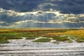 Wide prairies against the cloudy sky background Royalty Free Stock Photo